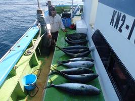 久里浜黒川本家 釣果