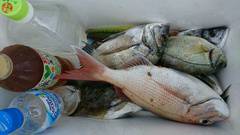 まこと渡船 釣果