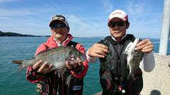 まこと渡船 釣果