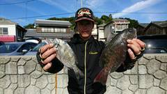 まこと渡船 釣果