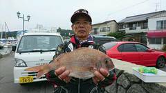 まこと渡船 釣果