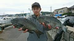 まこと渡船 釣果