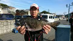 まこと渡船 釣果