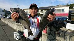 まこと渡船 釣果