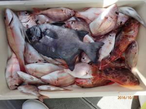 石川丸 釣果