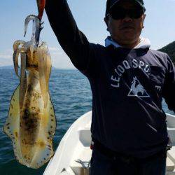 Magic(マジック) 釣果