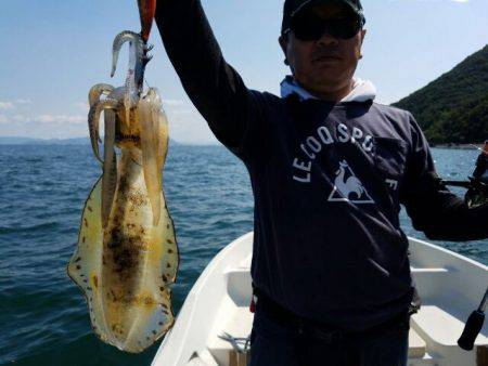 Magic(マジック) 釣果