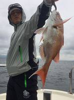 YELLOW-TAIL イエローテール 釣果