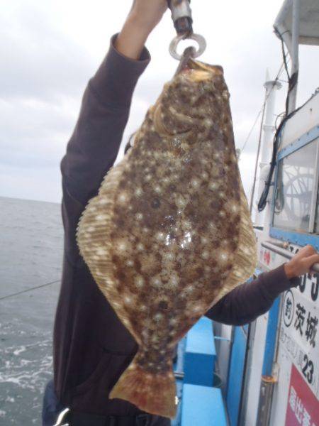 弁天丸 釣果