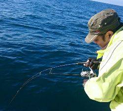 IDATEN(イダテン) 釣果