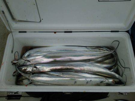 遊漁船　ニライカナイ 釣果