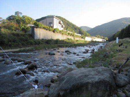 狩野川（狩野川漁業協同組合） 釣果