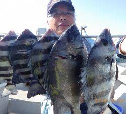 石川丸 釣果