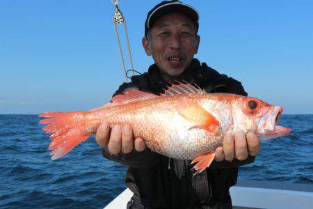 へいみつ丸 釣果