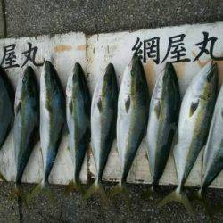 網屋丸 釣果