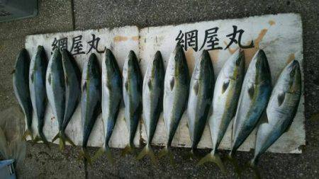 網屋丸 釣果