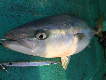 広進丸 釣果