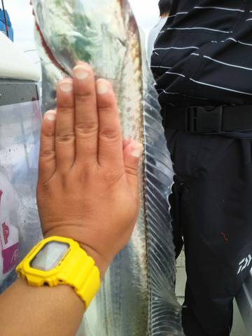 遊漁船　ニライカナイ 釣果