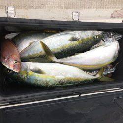 龍宮丸 釣果
