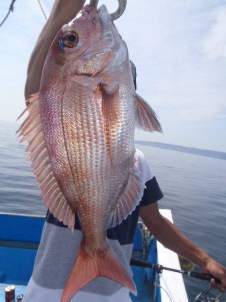 弁天丸 釣果