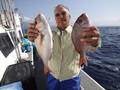 里輝丸 釣果