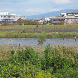 狩野川（狩野川漁業協同組合） 釣果