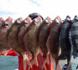 石川丸 釣果