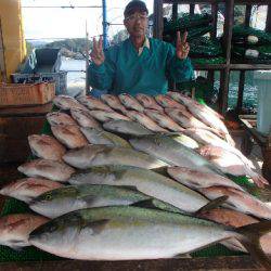 カタタのつり堀 釣果