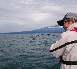 IDATEN(イダテン) 釣果