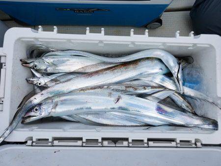 遊漁船　ニライカナイ 釣果