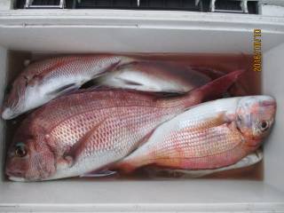 なかくに丸 釣果