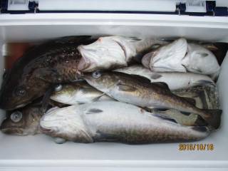 なかくに丸 釣果