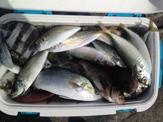 なかくに丸 釣果