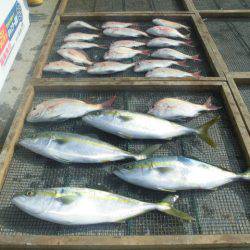 大進丸（愛知） 釣果