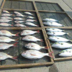 大進丸（愛知） 釣果