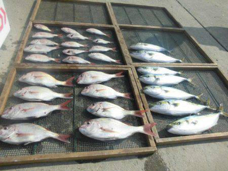 大進丸（愛知） 釣果