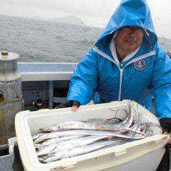 大進丸（愛知） 釣果