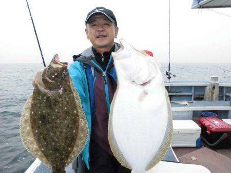 大進丸(愛知) 釣果