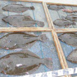 大進丸(愛知) 釣果