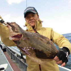 大進丸（愛知） 釣果