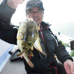 大進丸（愛知） 釣果