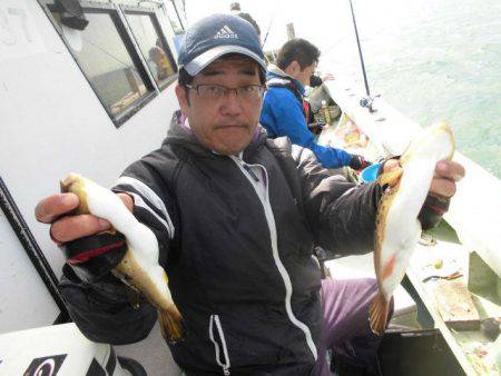 大進丸（愛知） 釣果