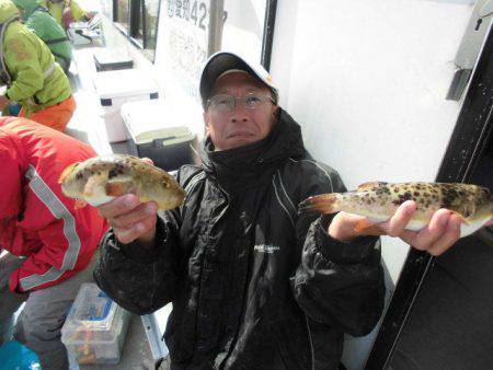 大進丸（愛知） 釣果