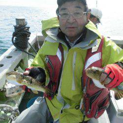 大進丸（愛知） 釣果