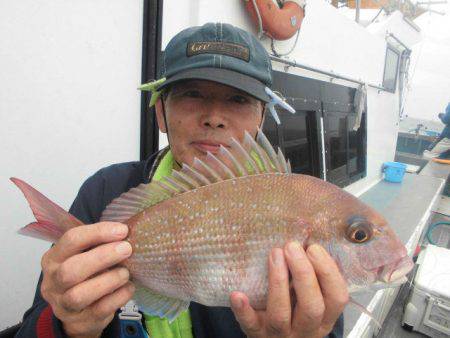 大進丸（愛知） 釣果