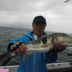 大進丸（愛知） 釣果