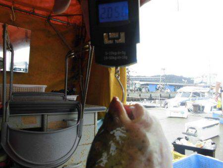 大進丸（愛知） 釣果