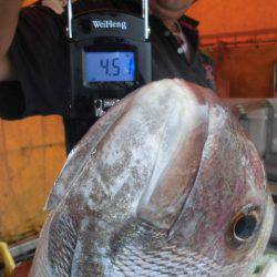 大進丸（愛知） 釣果