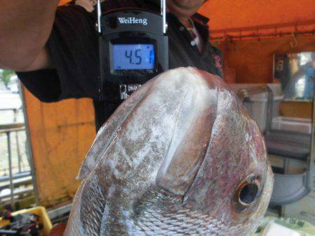 大進丸（愛知） 釣果