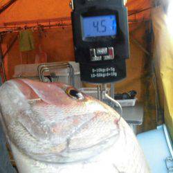 大進丸（愛知） 釣果